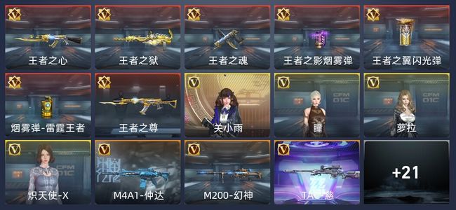 穿越火线：枪战王者V6 44英雄武器 新锐