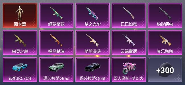 和平精英5载具 9升级枪 10粉装 6尾迹 223枪皮 181套装 78630热力 11印记