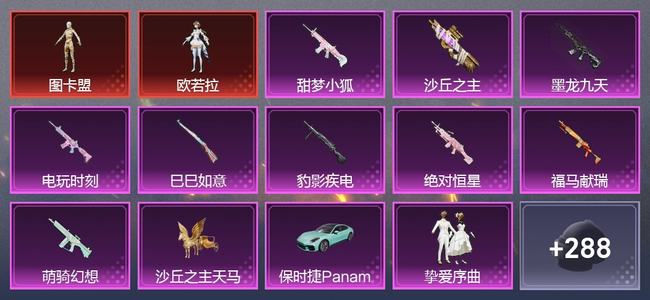 和平精英1载具 9升级枪 7粉装 10尾迹 167套装 81598热力 12印记