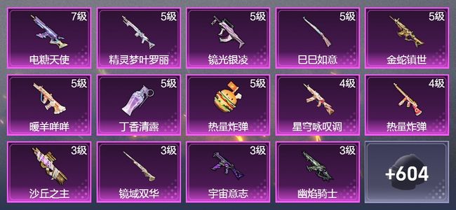 和平精英【苹果版】4载具 20升级枪 14粉装 3飞行器 343枪皮 264套装 125323热力 9印记