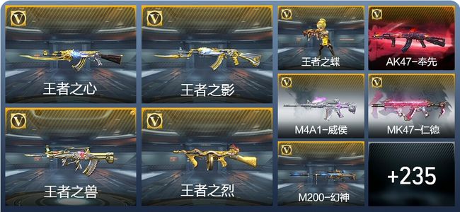 穿越火线：枪战王者15王者武器 244英雄武器 8英雄角色 375万化 专家S