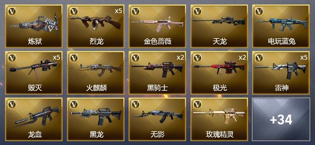 穿越火线（CF）1王者武器 1炫金武器 96V武器 13皮肤 可排位 传奇