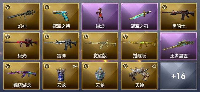 穿越火线（CF）2王者武器 29V武器 10皮肤 可排位 专家