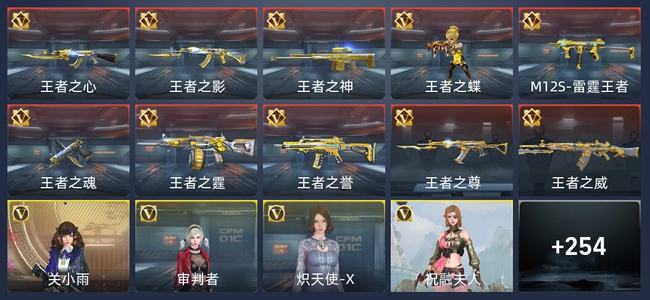 穿越火线：枪战王者V5 10王者 261英雄武器 7英雄角色 416万化 新锐