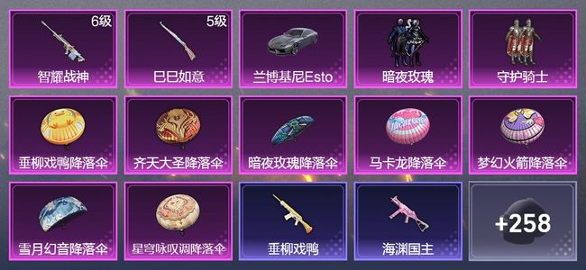 和平精英1载具 2升级枪 2粉装 129枪皮 135套装 48065热力 5印记 星钻