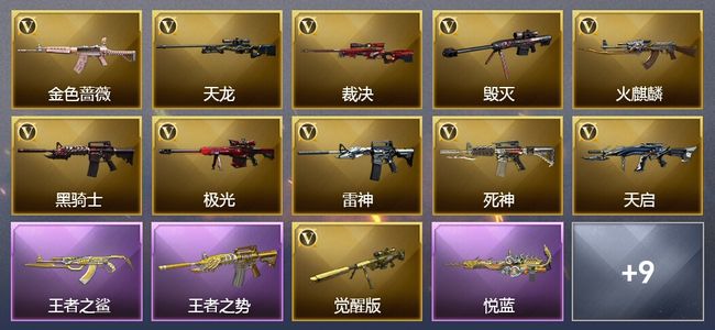 穿越火线（CF）3王者武器 17V武器 2皮肤 可排位