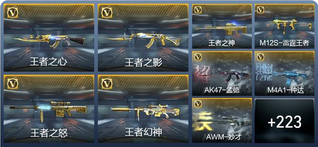 穿越火线：枪战王者V8 22王者武器 252英雄武器 8英雄角色 493万化 枪圣SSS