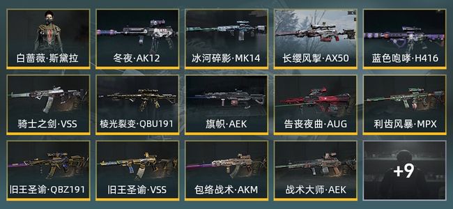 暗区突围库存价值46.0M 1手套 4近战武器 1金套装 16金枪皮 信誉5级 专家