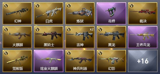 穿越火线（CF）1王者武器 1炫金武器 30V武器 10皮肤 可排位 新锐