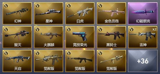 穿越火线（CF）1王者武器 49V武器 1V角色 14皮肤 不可排位 宗师