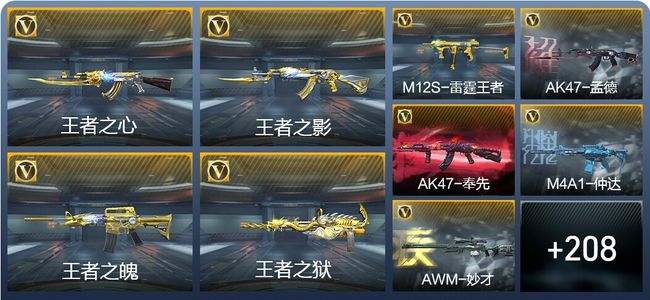 穿越火线：枪战王者V8 16王者武器 217英雄武器 6英雄角色 410万化 大师SS