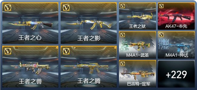 穿越火线：枪战王者14王者武器 238英雄武器 8英雄角色 198万化 专家S