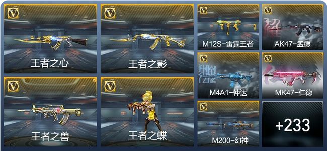 穿越火线：枪战王者V6 14王者武器 242英雄武器 8英雄角色 387万化 新锐