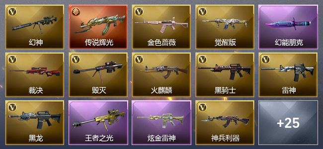 穿越火线（CF）1传说武器 1王者武器 1炫金武器 25V武器 4V角色 14皮肤 可排位 新锐