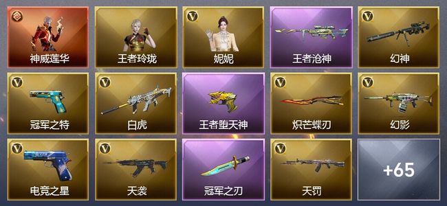 穿越火线（CF）1传说角色 12王者武器 5炫金武器 74V武器 6V角色 21皮肤 可排位 枪王