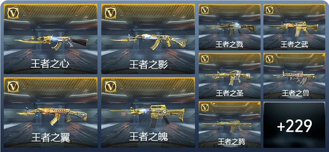 穿越火线：枪战王者V9 36王者武器 256英雄武器 11英雄角色 442万化 专家