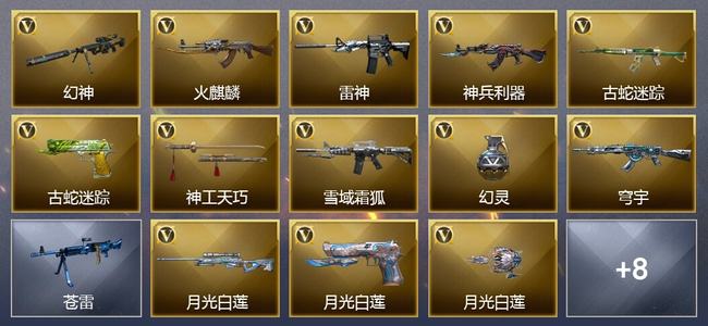 穿越火线（CF）13V武器 3V角色 10皮肤 可排位