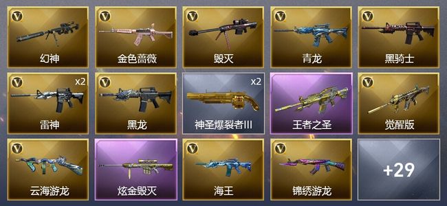 穿越火线（CF）1王者武器 1炫金武器 24V武器 10皮肤 可排位 新锐