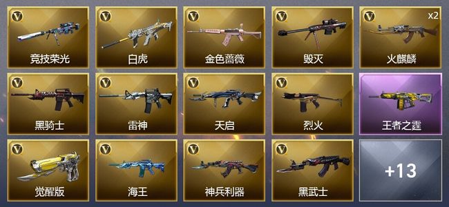 穿越火线（CF）1王者武器 24V武器 1V角色 12皮肤 可排位 新锐