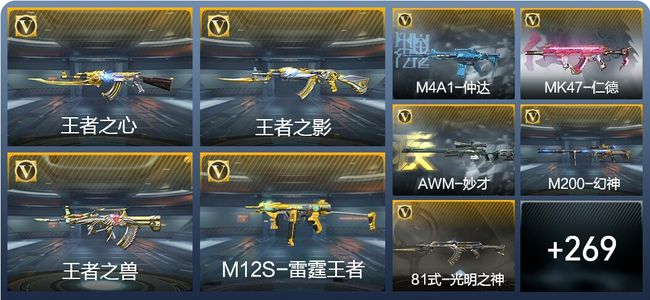 穿越火线：枪战王者13王者武器 278英雄武器 9英雄角色 556万化 专家S