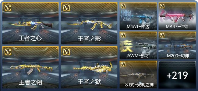 穿越火线：枪战王者13王者武器 228英雄武器 9英雄角色 351万化 专家S