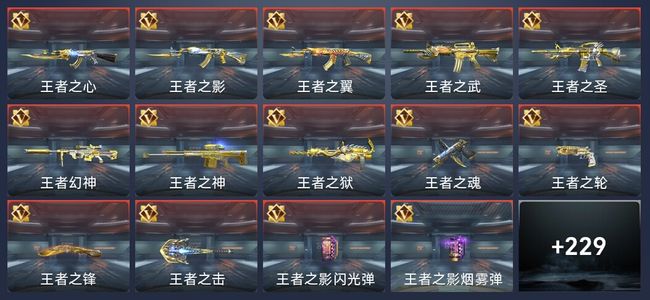 穿越火线：枪战王者1炫闪 25王者 230英雄武器 13英雄角色 407万化 大师