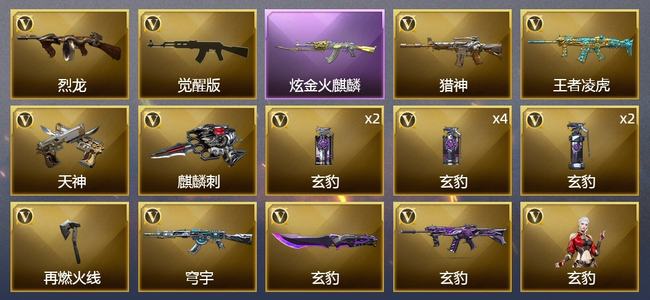 穿越火线（CF）1炫金武器 18V武器 1V角色 2皮肤 可排位 专家