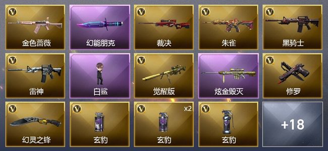 穿越火线（CF）1炫金武器 25V武器 17皮肤 可排位 传奇