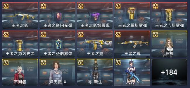 穿越火线：枪战王者V5 9王者 192英雄武器 6英雄角色 319万化 新锐