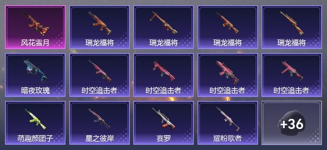 和平精英1升级枪 24套装 9875热力