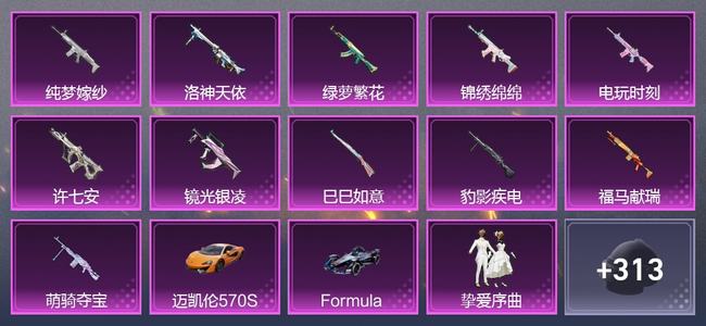 和平精英2载具 11升级枪 5粉装 3尾迹 240枪皮 202套装 81907热力 10印记