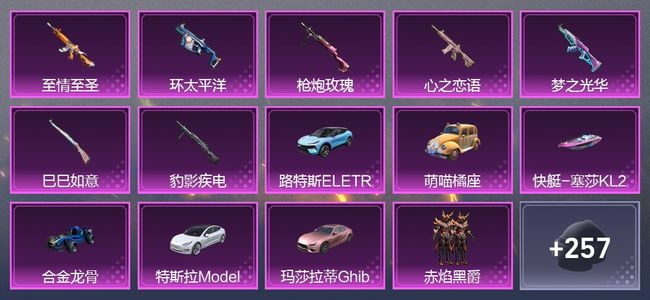 和平精英6载具 7升级枪 13粉装 2尾迹 125套装 66873热力 11印记