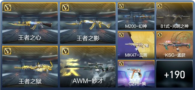 穿越火线：枪战王者V4 13王者武器 199英雄武器 5英雄角色 230万化 新锐