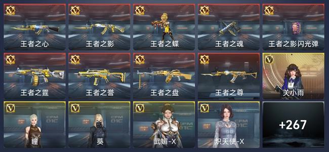 穿越火线：枪战王者9王者 272英雄武器 9英雄角色 481万化 专家S
