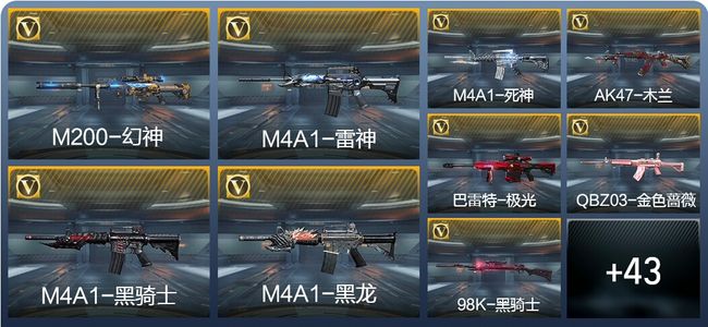 穿越火线：枪战王者52英雄武器 1英雄角色 73万化 专家S