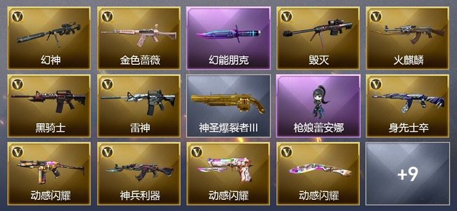 穿越火线（CF）12V武器 14皮肤 可排位 新锐