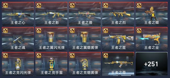 穿越火线：枪战王者V5 15王者 255英雄武器 10英雄角色 467万化 专家S