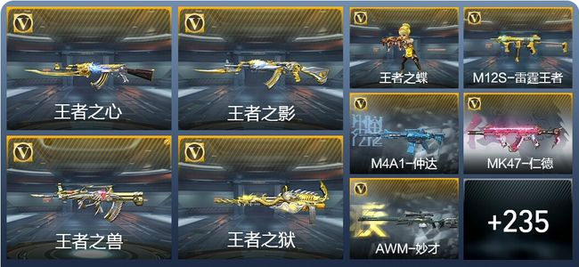 穿越火线：枪战王者V6 14王者武器 244英雄武器 6英雄角色 505万化 枪圣SSS