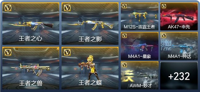 穿越火线：枪战王者V6 14王者武器 265英雄武器 5英雄角色 608万化 枪皇SS