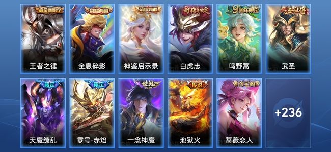 王者荣耀2典藏 7传说 73史诗 249皮肤 122英雄 绝世王者