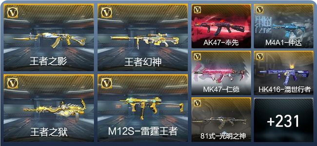 穿越火线：枪战王者V6 18王者武器 240英雄武器 8英雄角色 348万化 枪圣