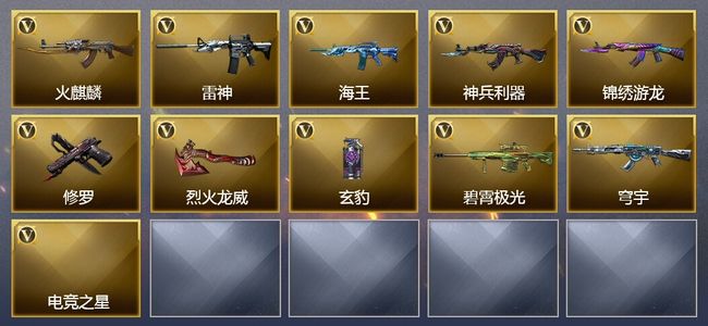 穿越火线（CF）11V武器 14皮肤 可排位 传奇