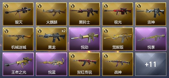 穿越火线（CF）4王者武器 22V武器 9皮肤 可排位 新锐
