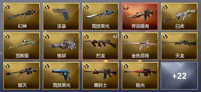 穿越火线（CF）1传说武器 2炫金武器 47V武器 1V角色 11皮肤 可排位