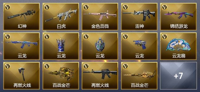 穿越火线（CF）17V武器 2皮肤 可排位 新锐