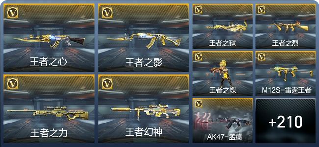 穿越火线：枪战王者V8 28王者武器 247英雄武器 6英雄角色 419万化 枪皇