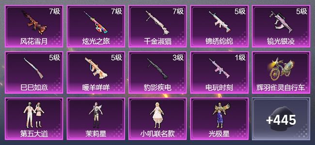 和平精英【苹果版】1载具 9升级枪 6粉装 1飞行器 272枪皮 206套装 82177热力 25印记 王牌