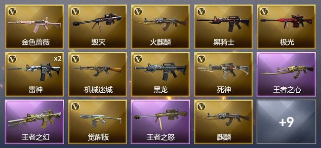 穿越火线（CF）3王者武器 23V武器 10皮肤 可排位 宗师