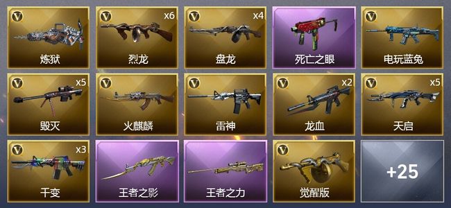 穿越火线（CF）5王者武器 3炫金武器 45V武器 1V角色 9皮肤 可排位 新锐