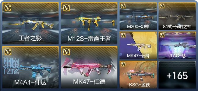 穿越火线：枪战王者V5 8王者武器 174英雄武器 3英雄角色 238万化 枪皇SS